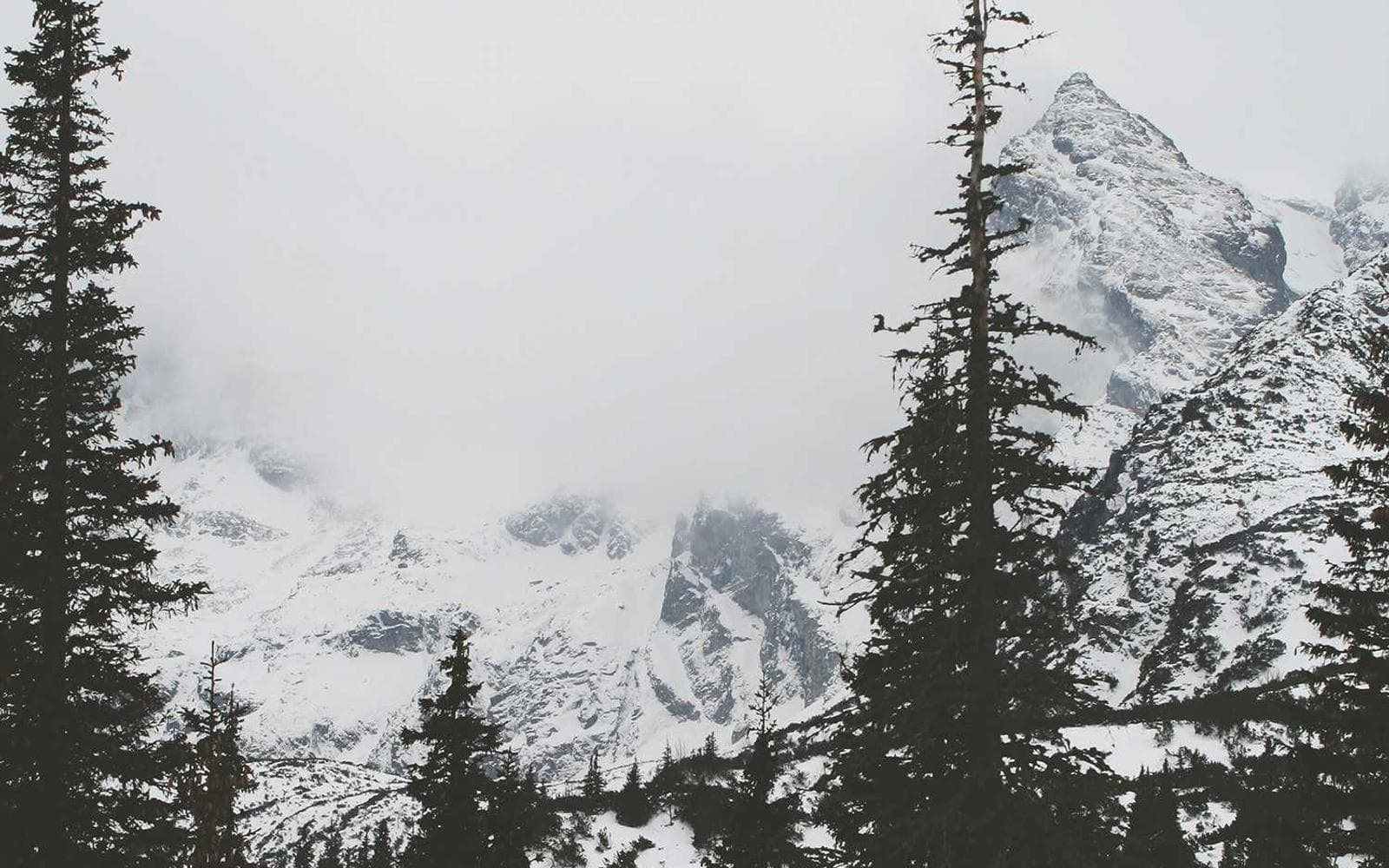 Bridger Canyon Timber Cabin 2