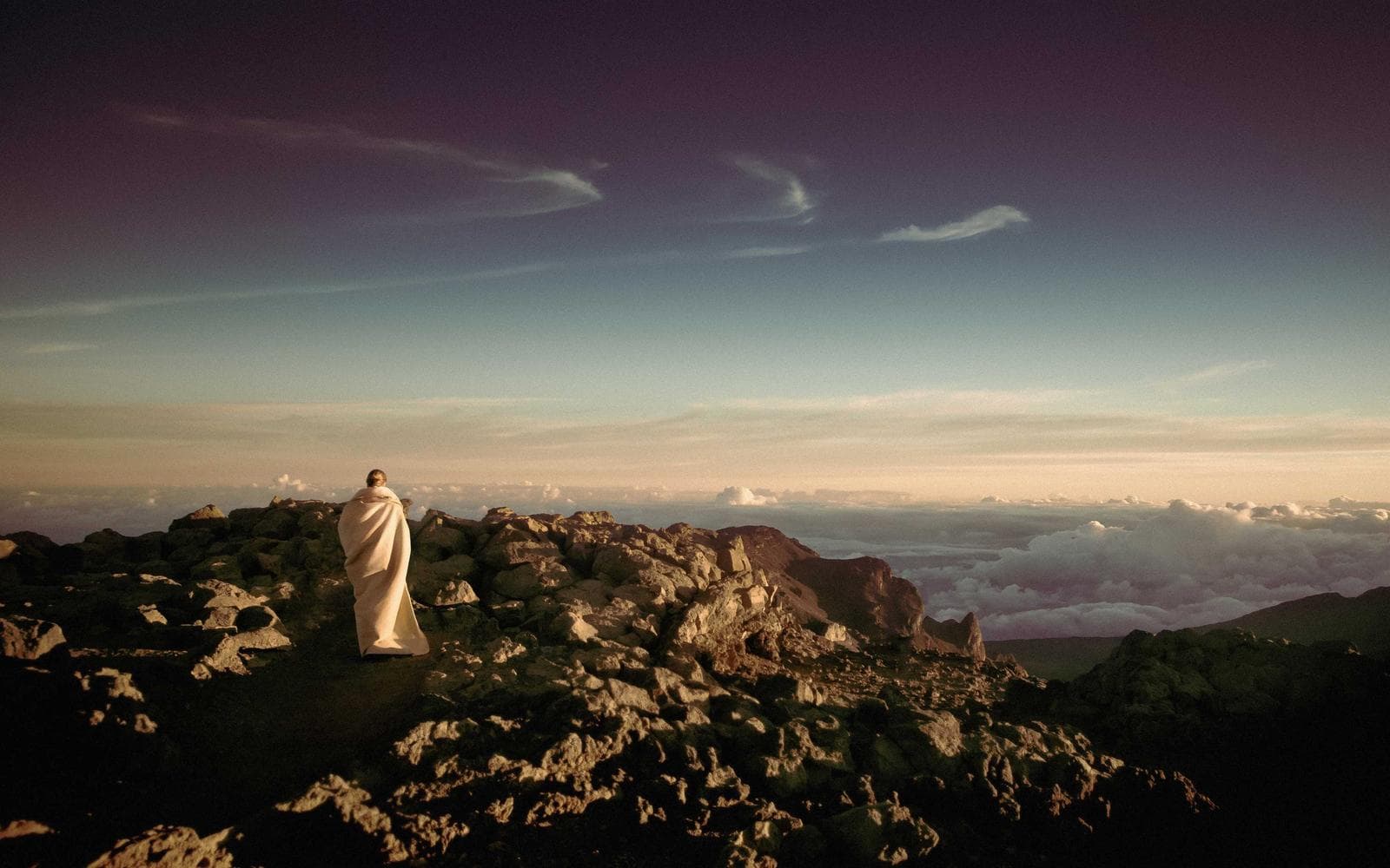 Museum District Townhome 1