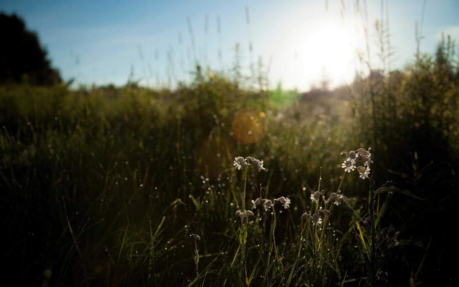 North Rouse Urban Retreat 2