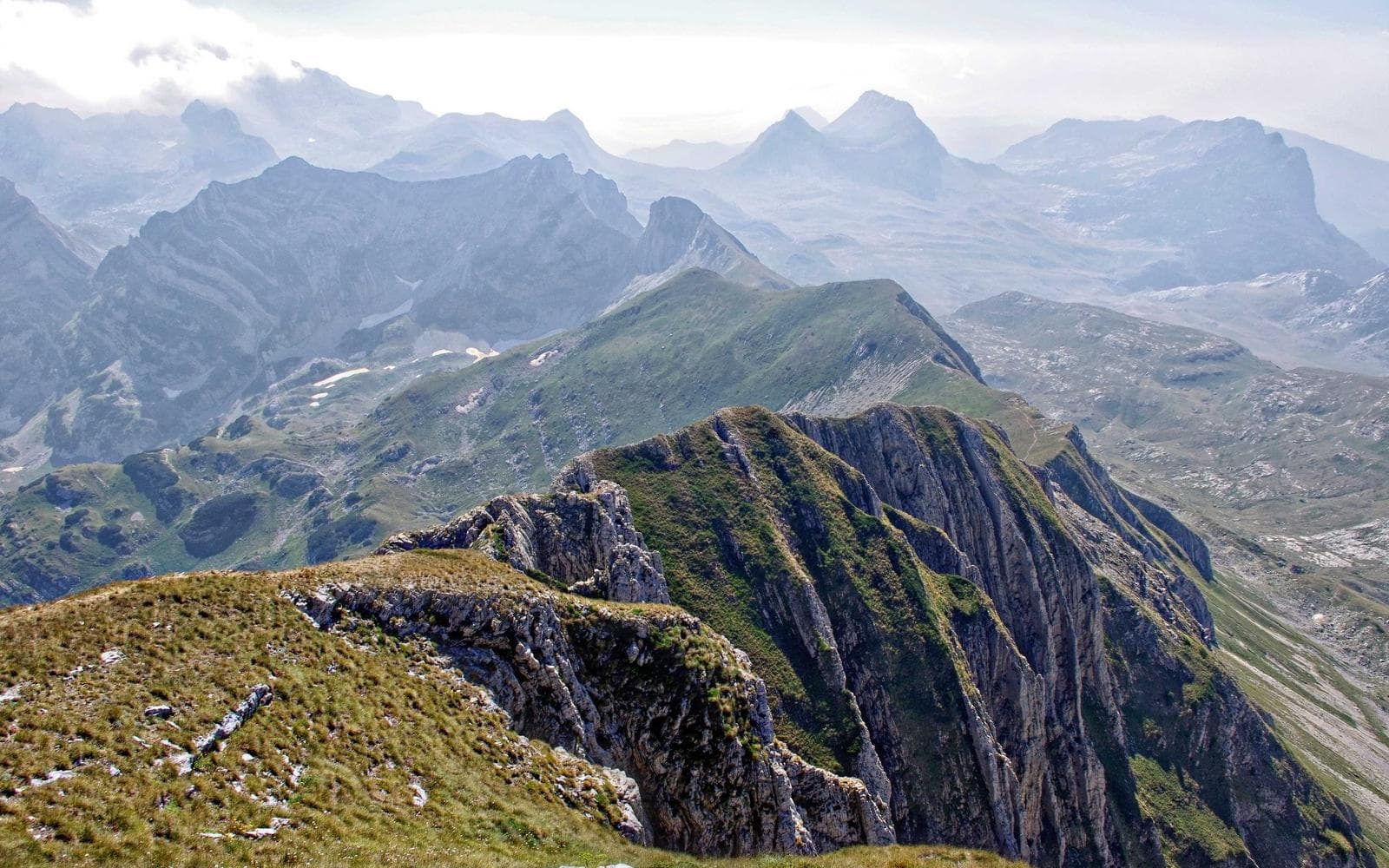 Mendenhall Garden Home 3