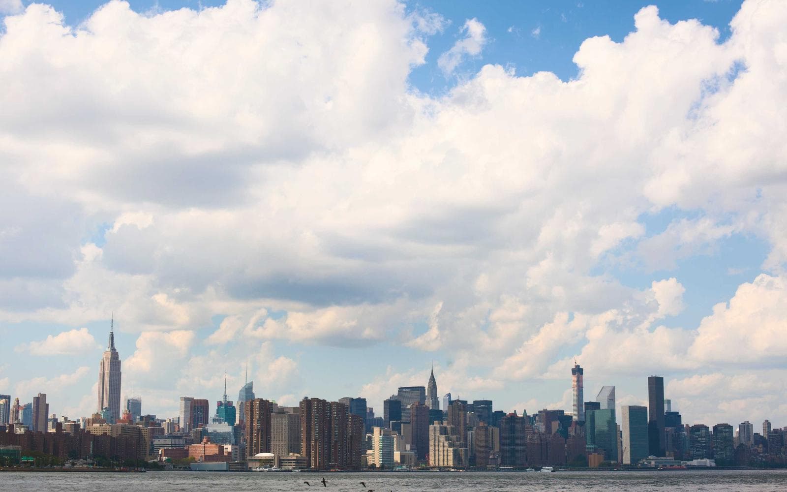 Annie Street Contemporary 2